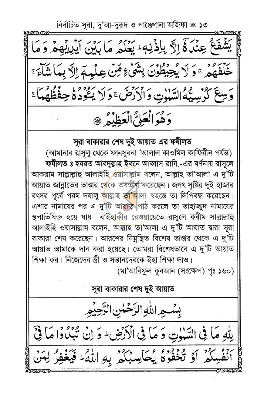 পাতা 11