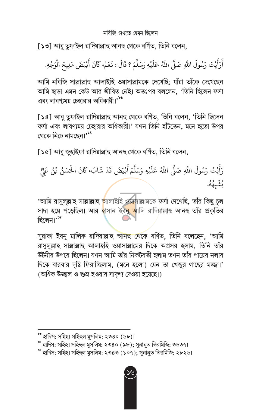 পাতা 13