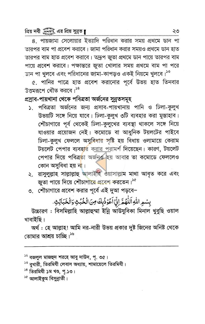 পাতা 11