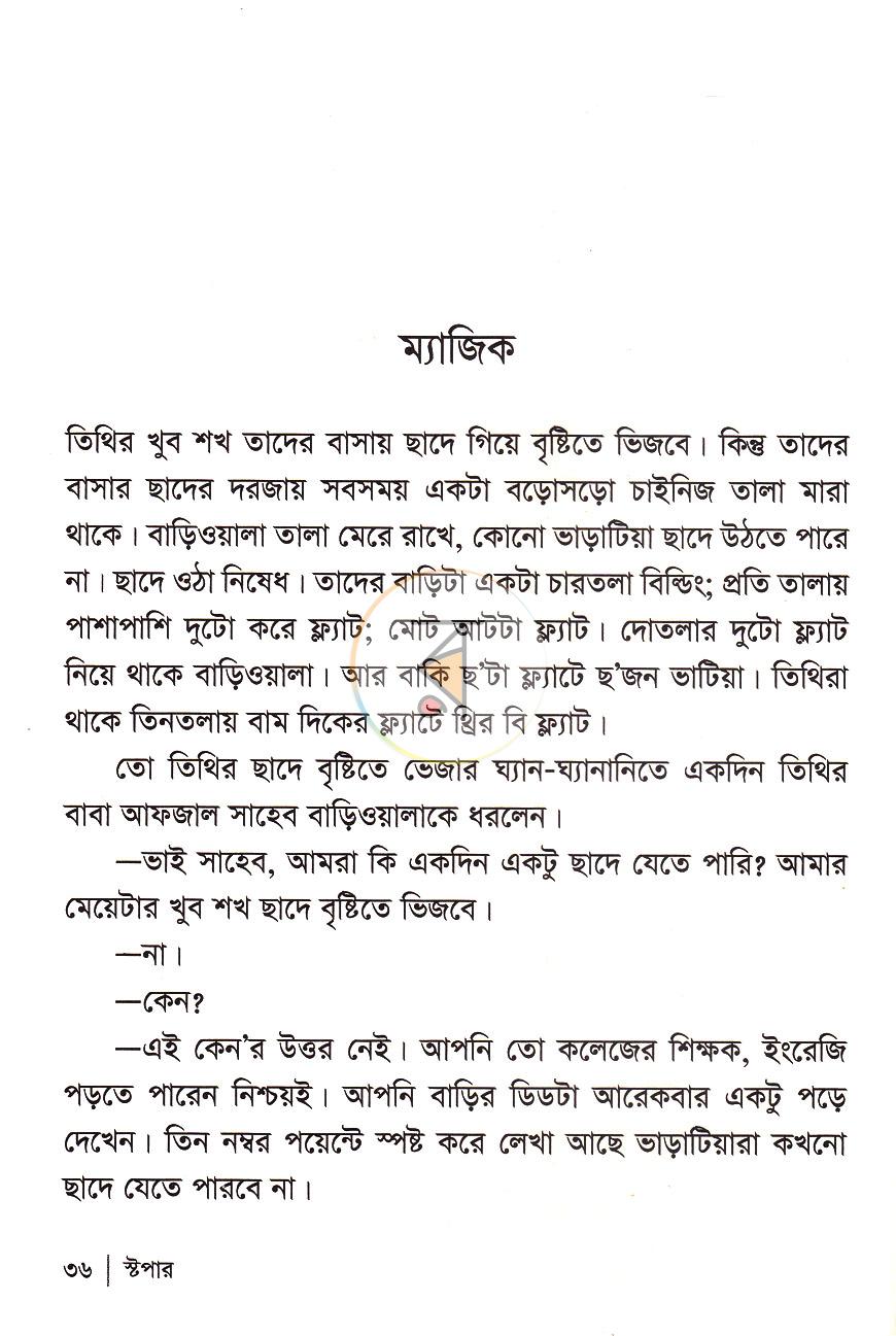 পাতা 13