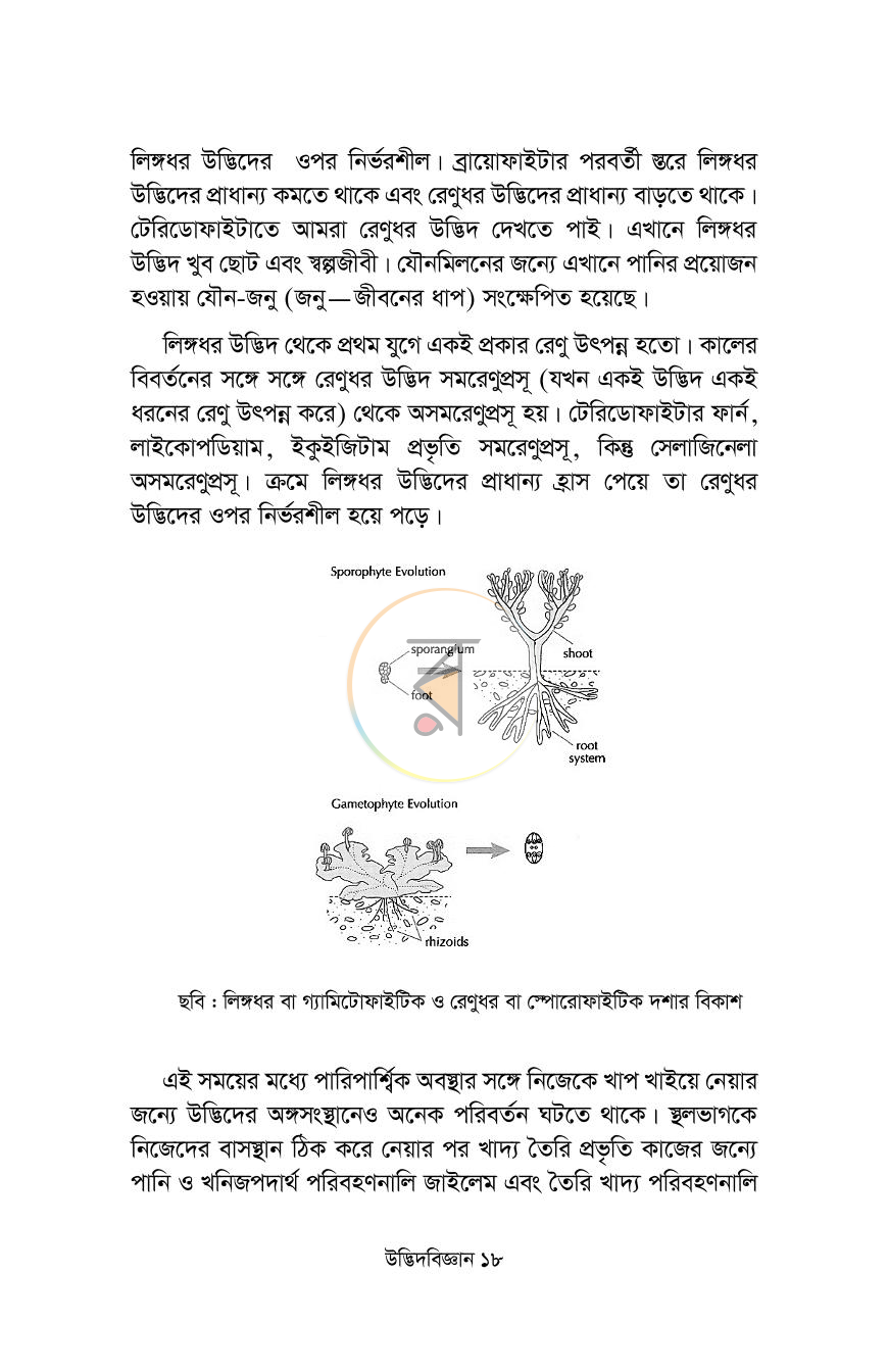 পাতা 12