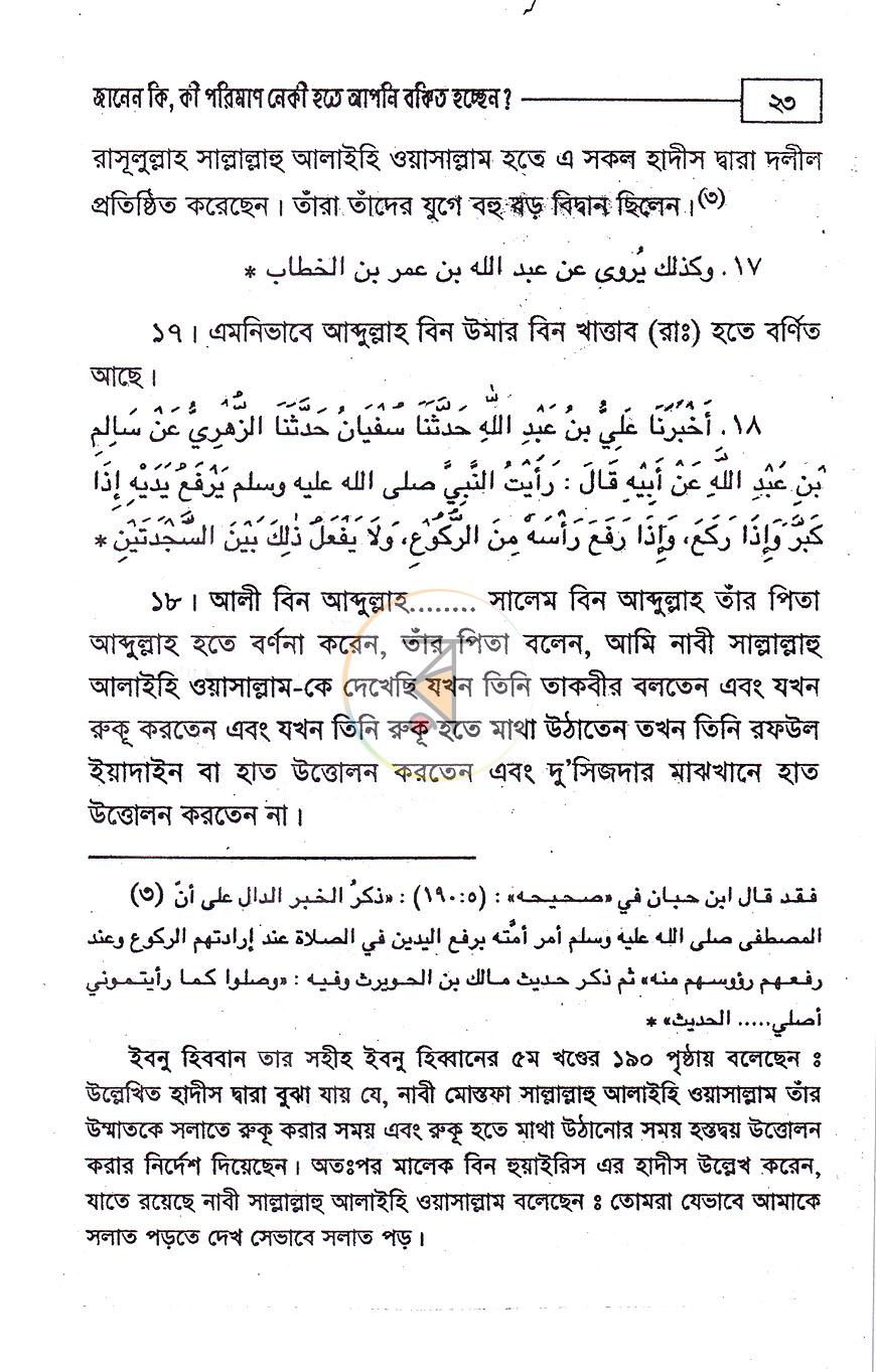 পাতা 13