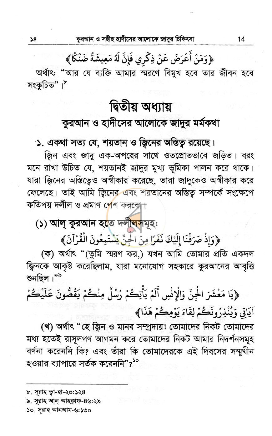পাতা 11