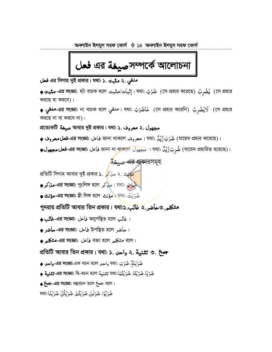 পাতা 13