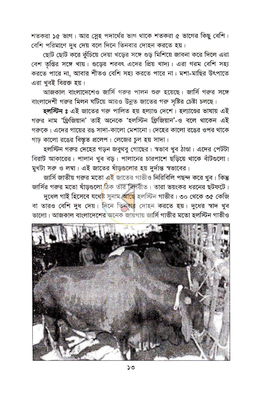 পাতা 12