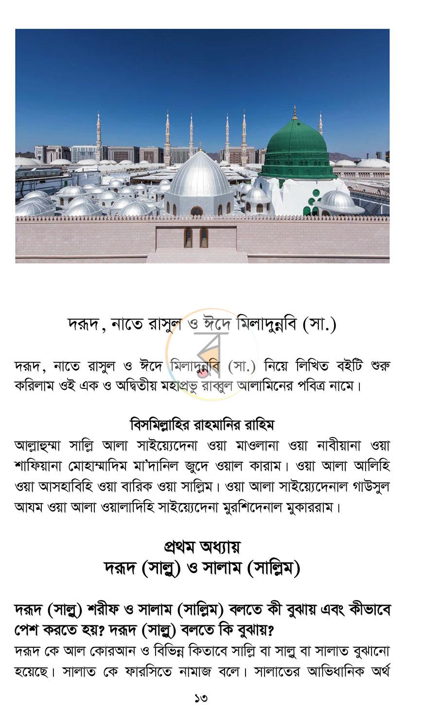 পাতা 9