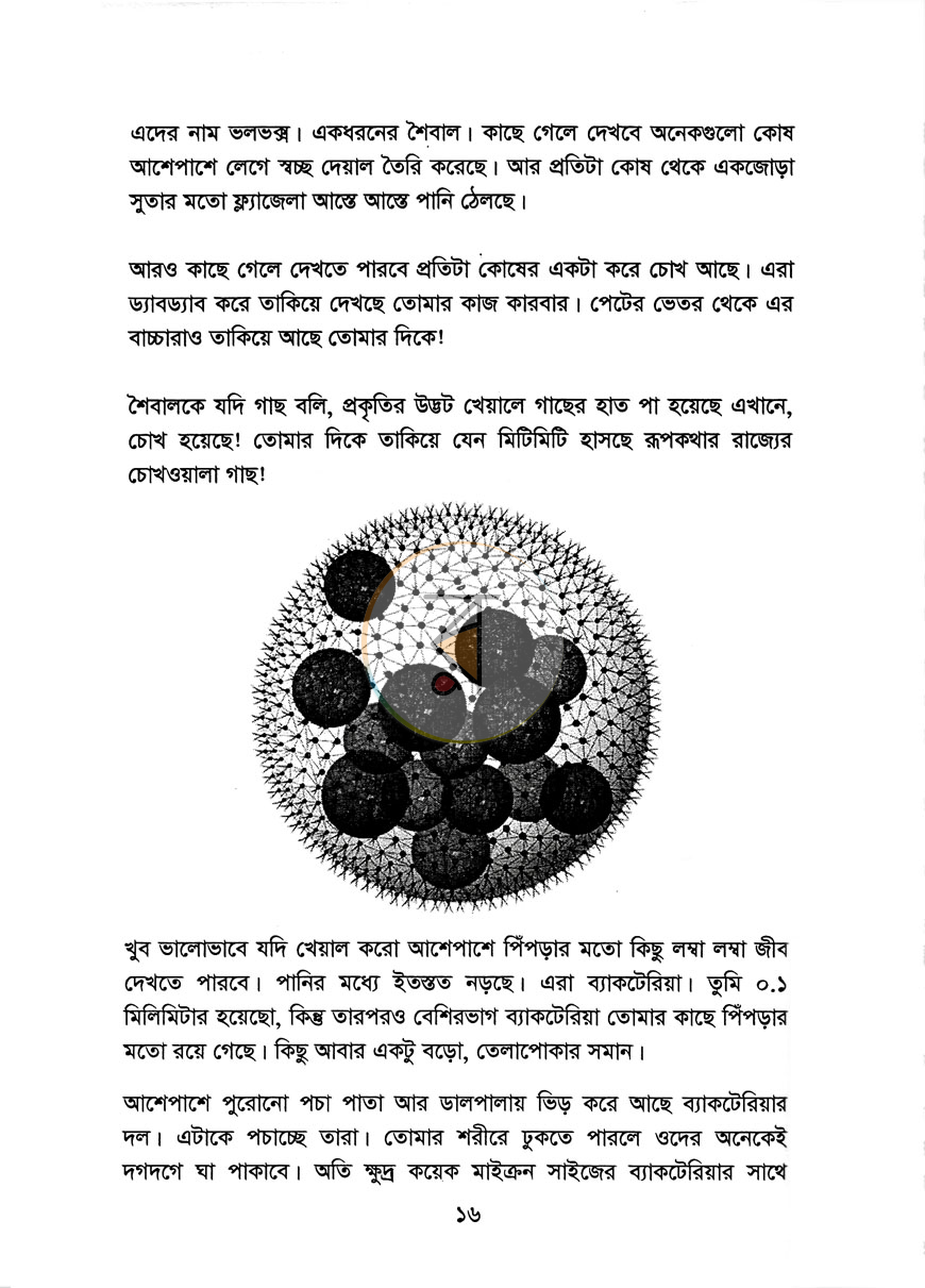 পাতা 9