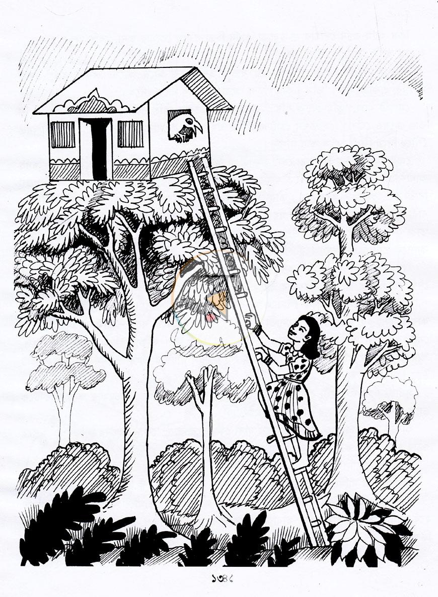 পাতা 8