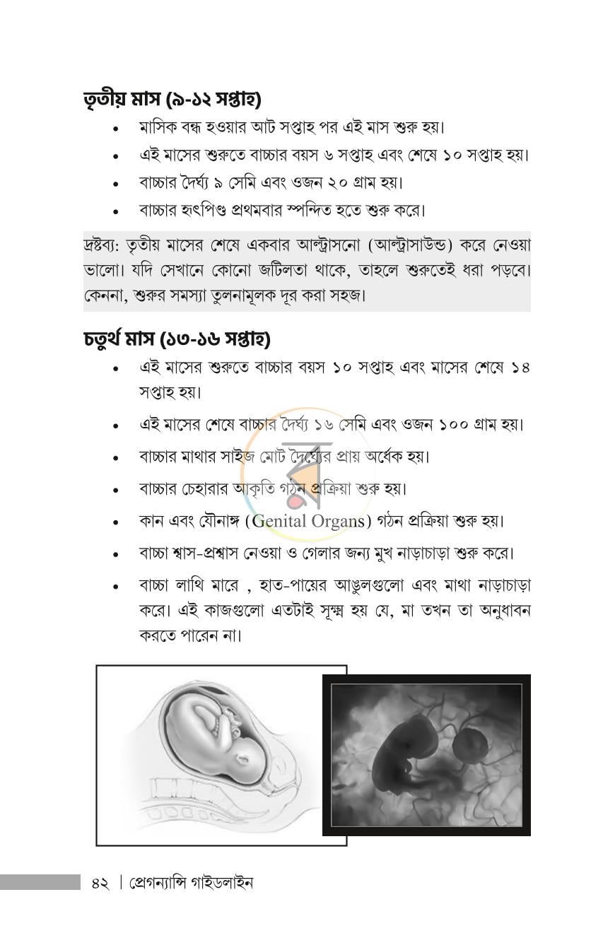 পাতা 19