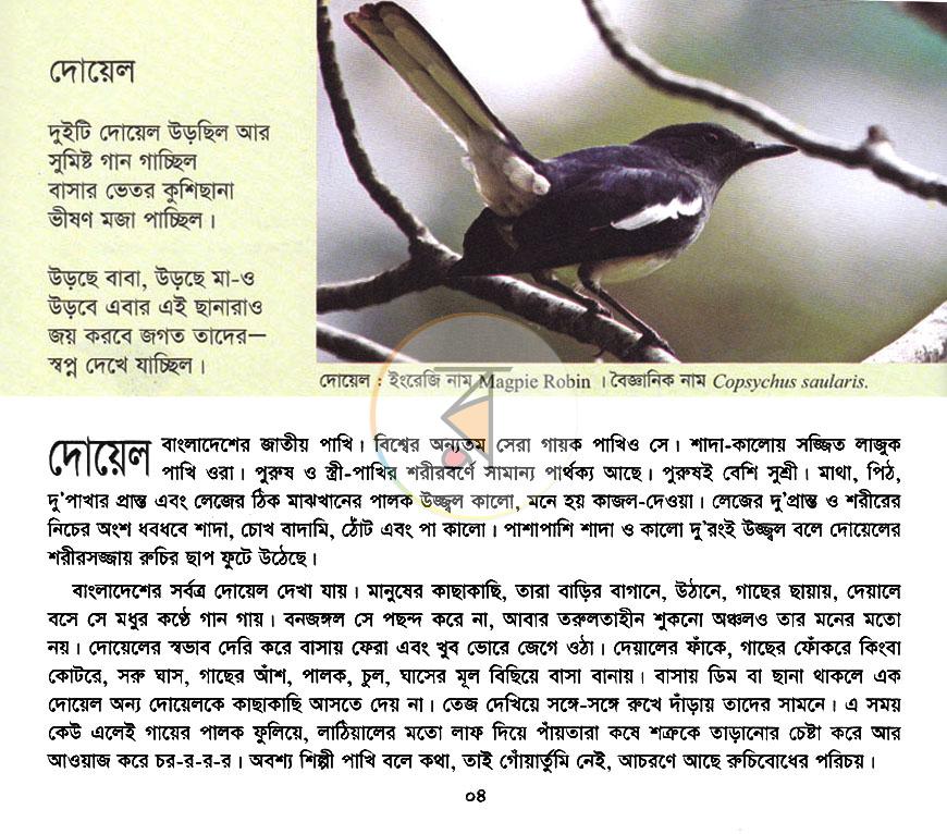 পাতা 2