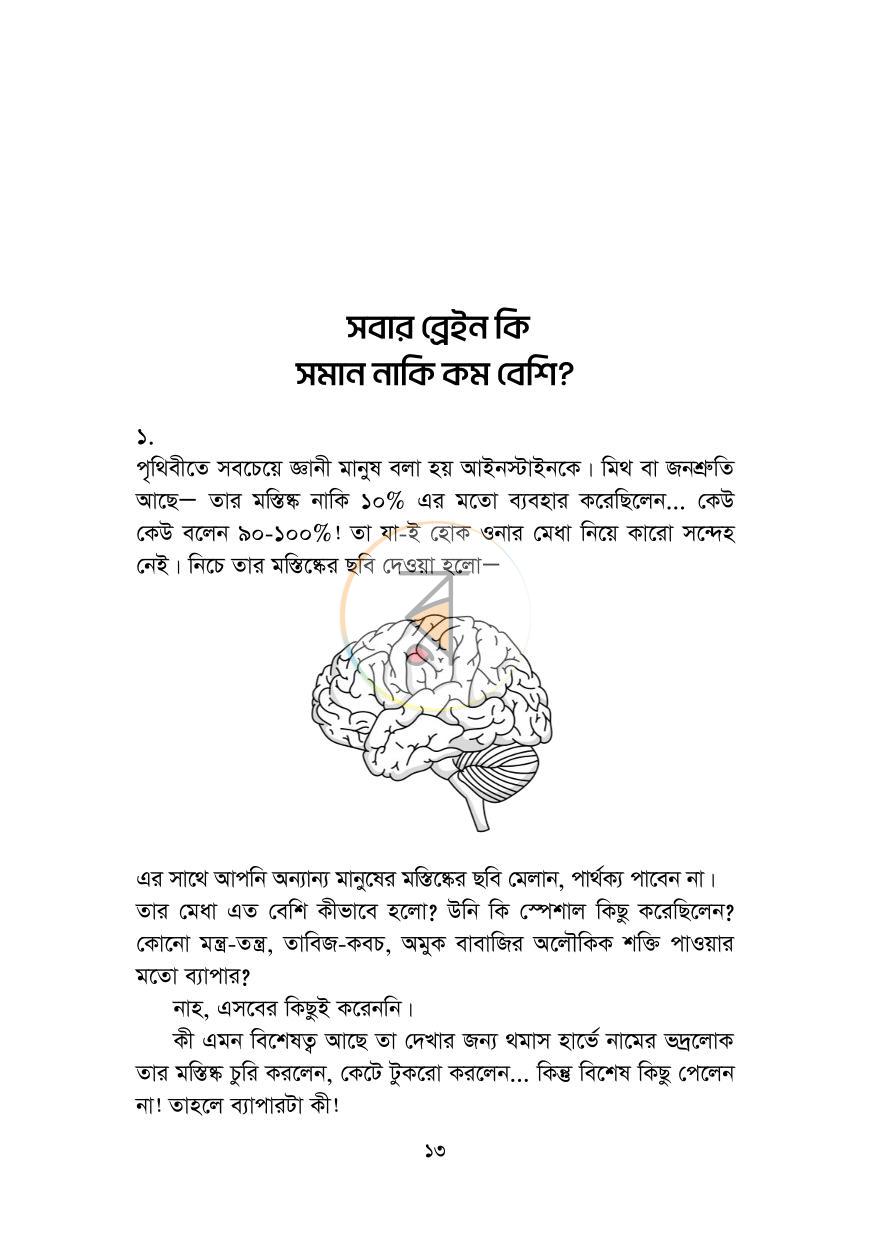 পাতা 13