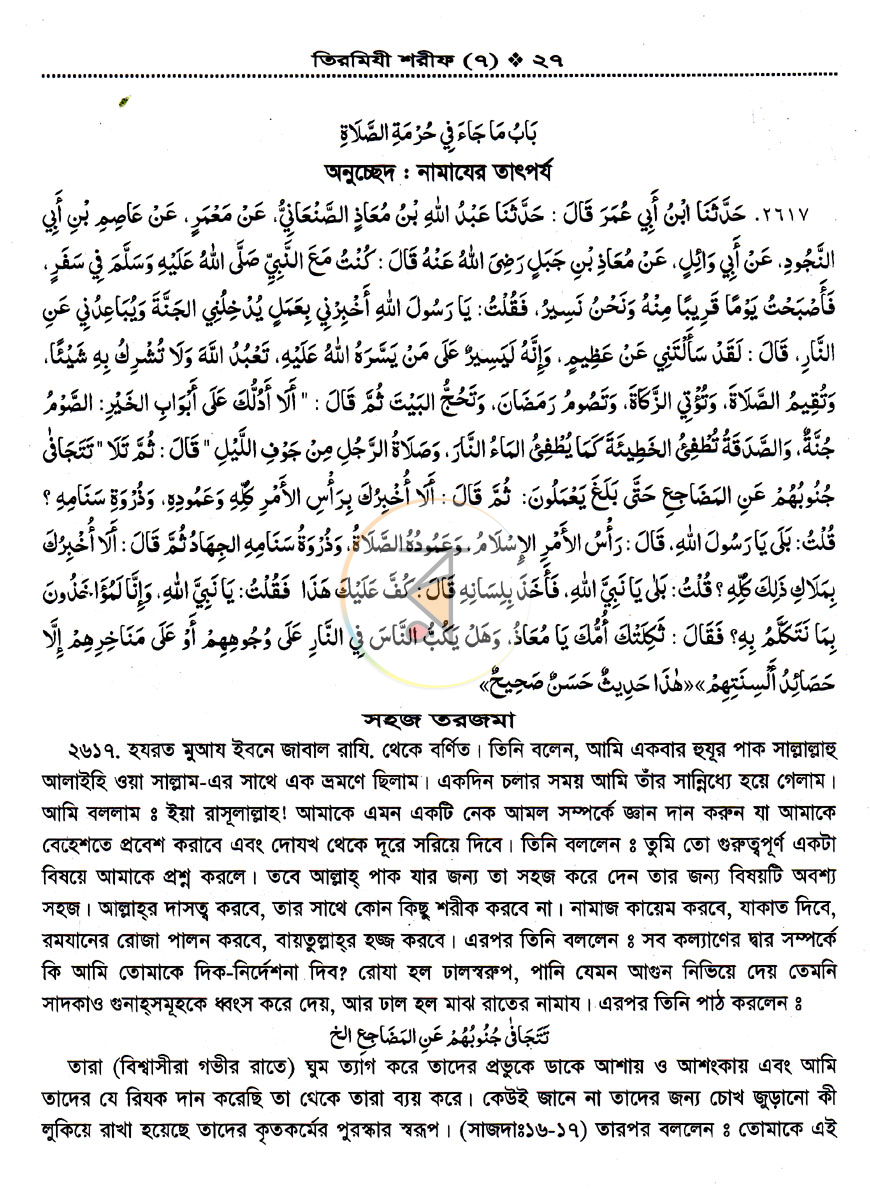 পাতা 38