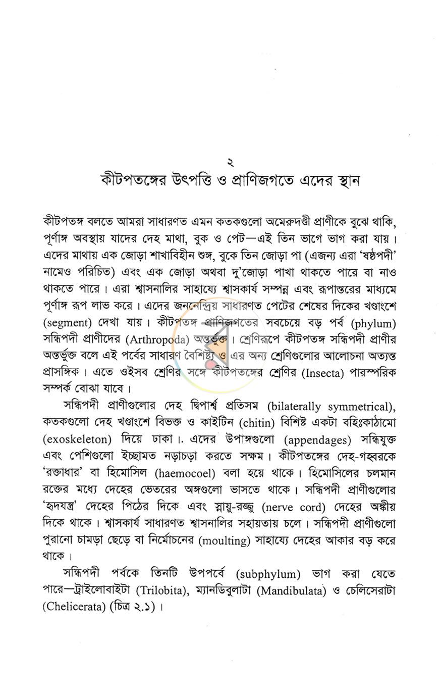 পাতা 10