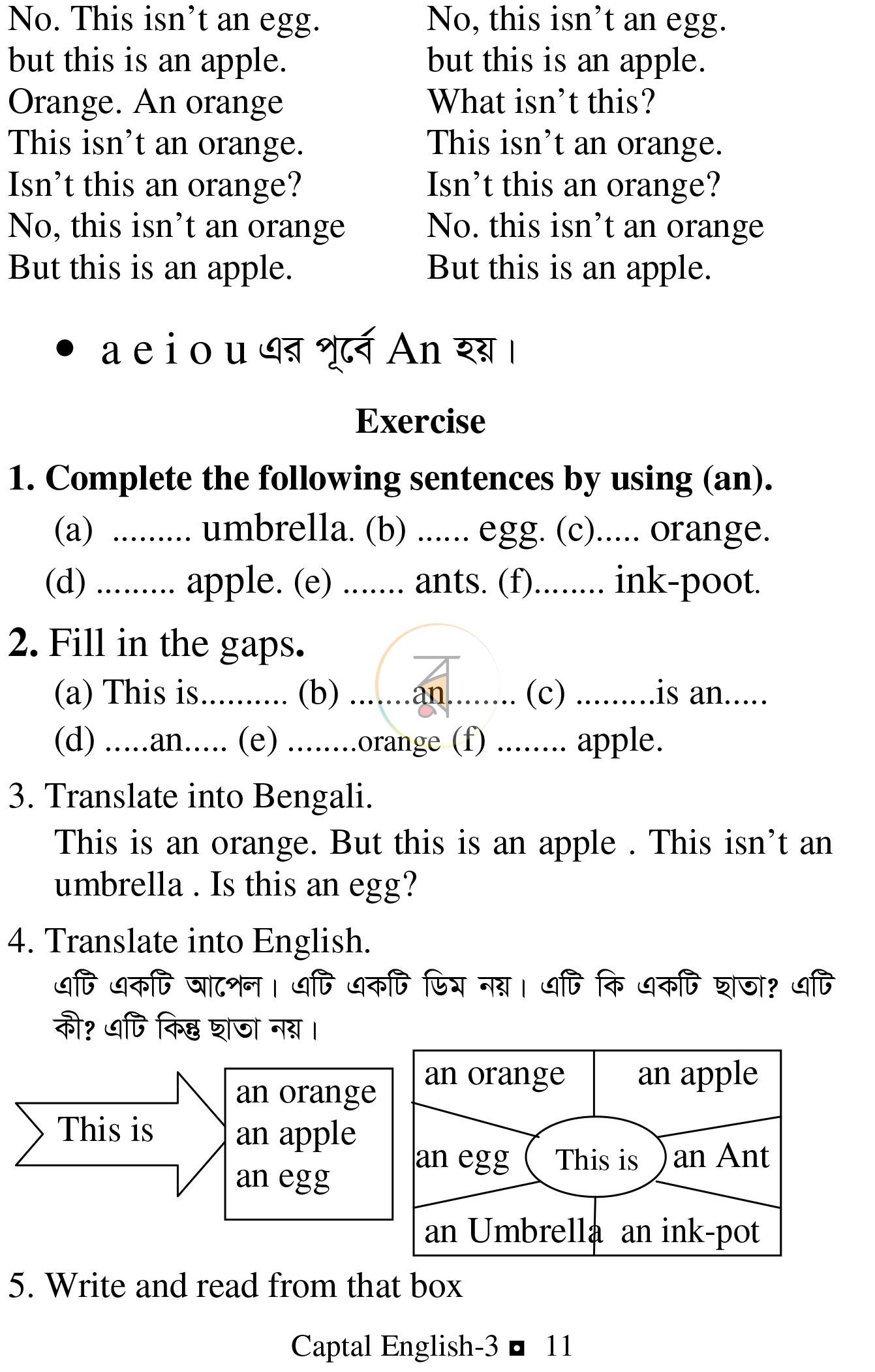 পাতা 10