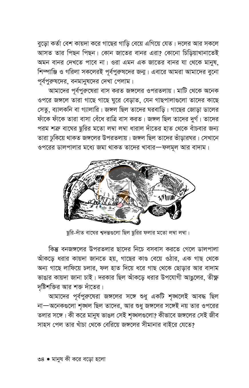 পাতা 16