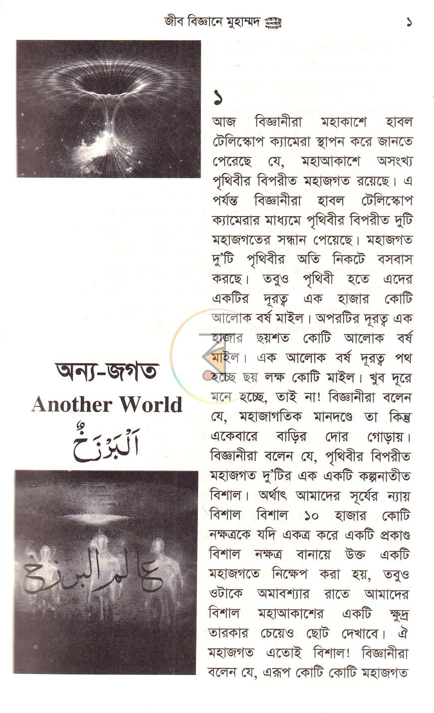 পাতা 8