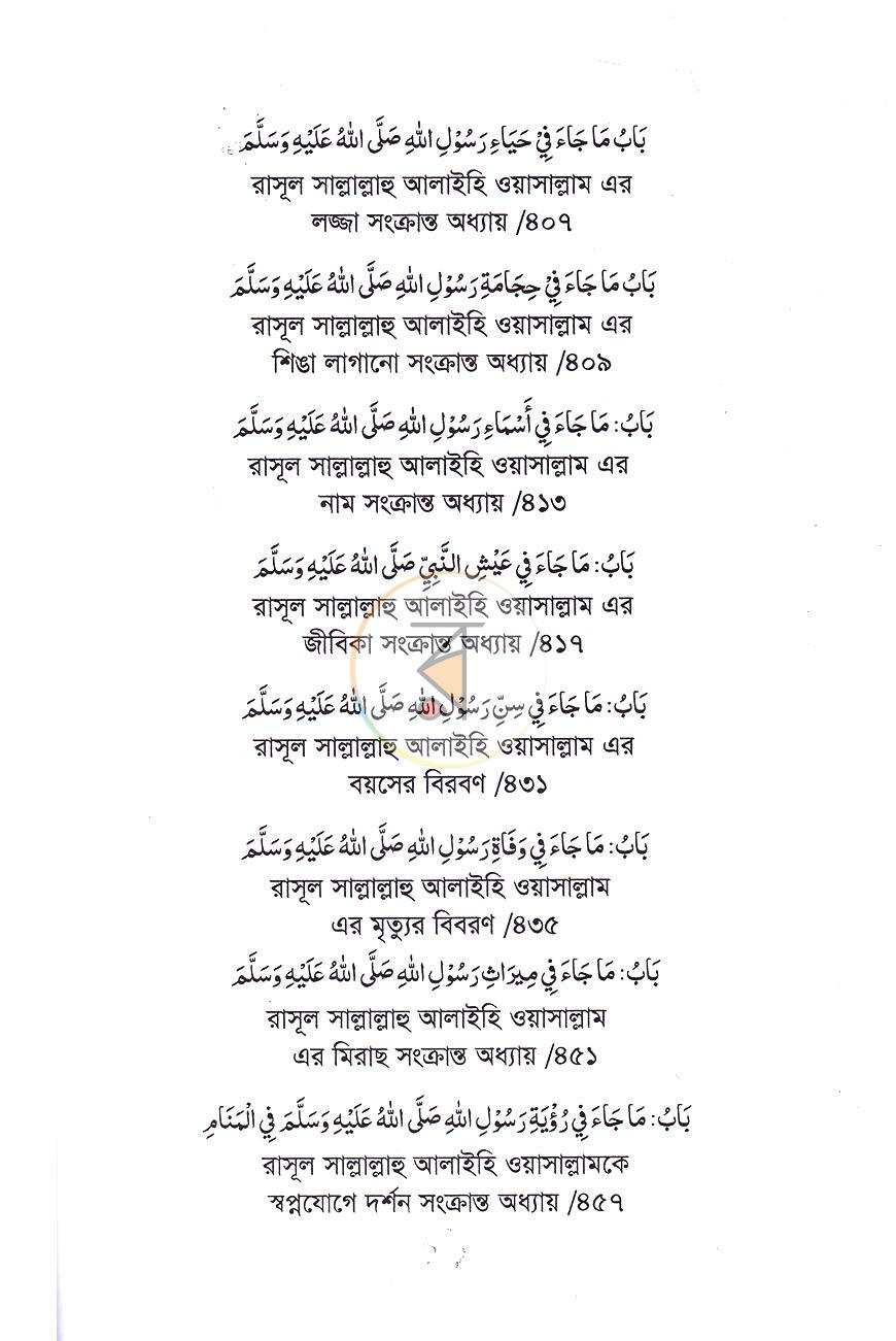 পাতা 8