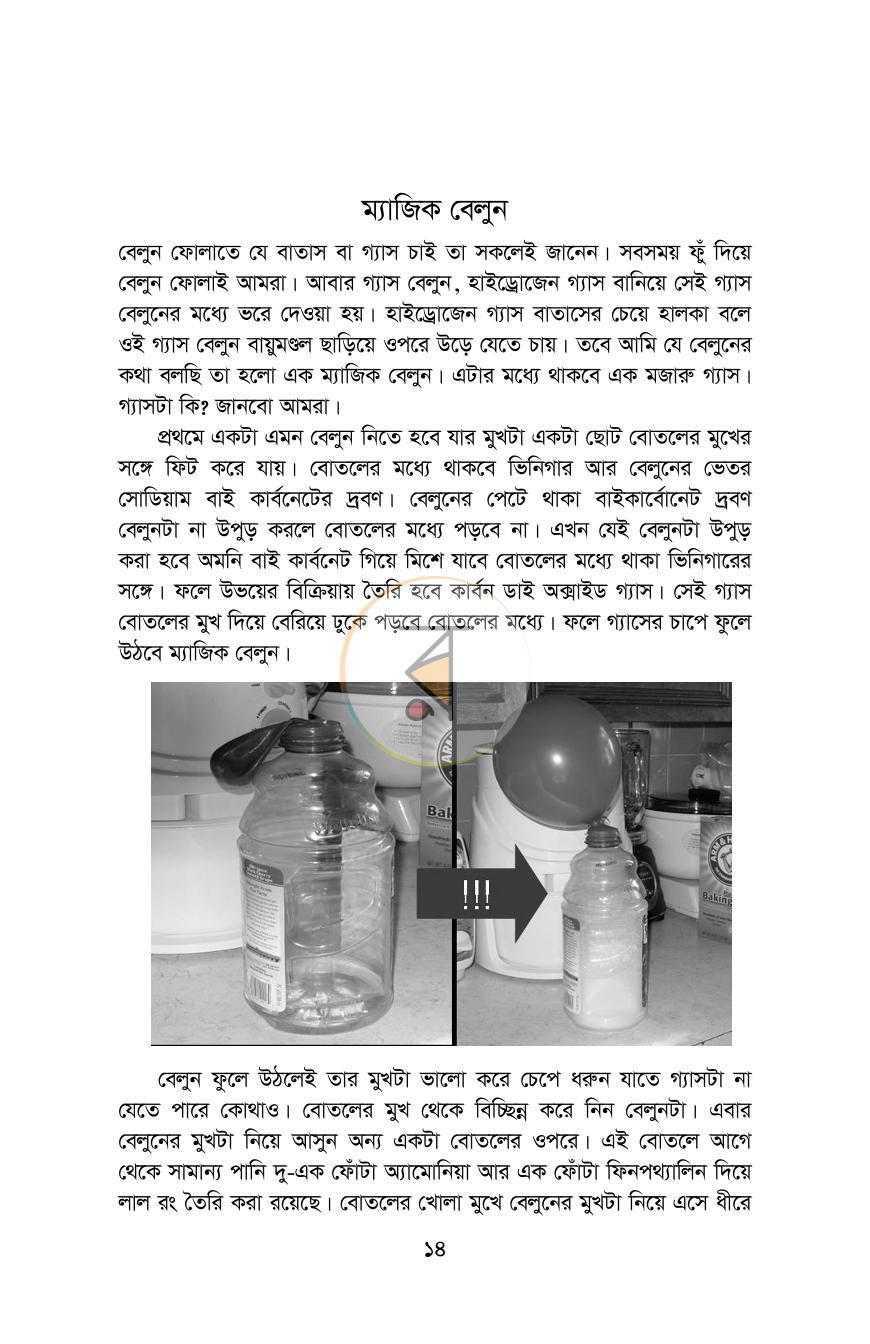 পাতা 13