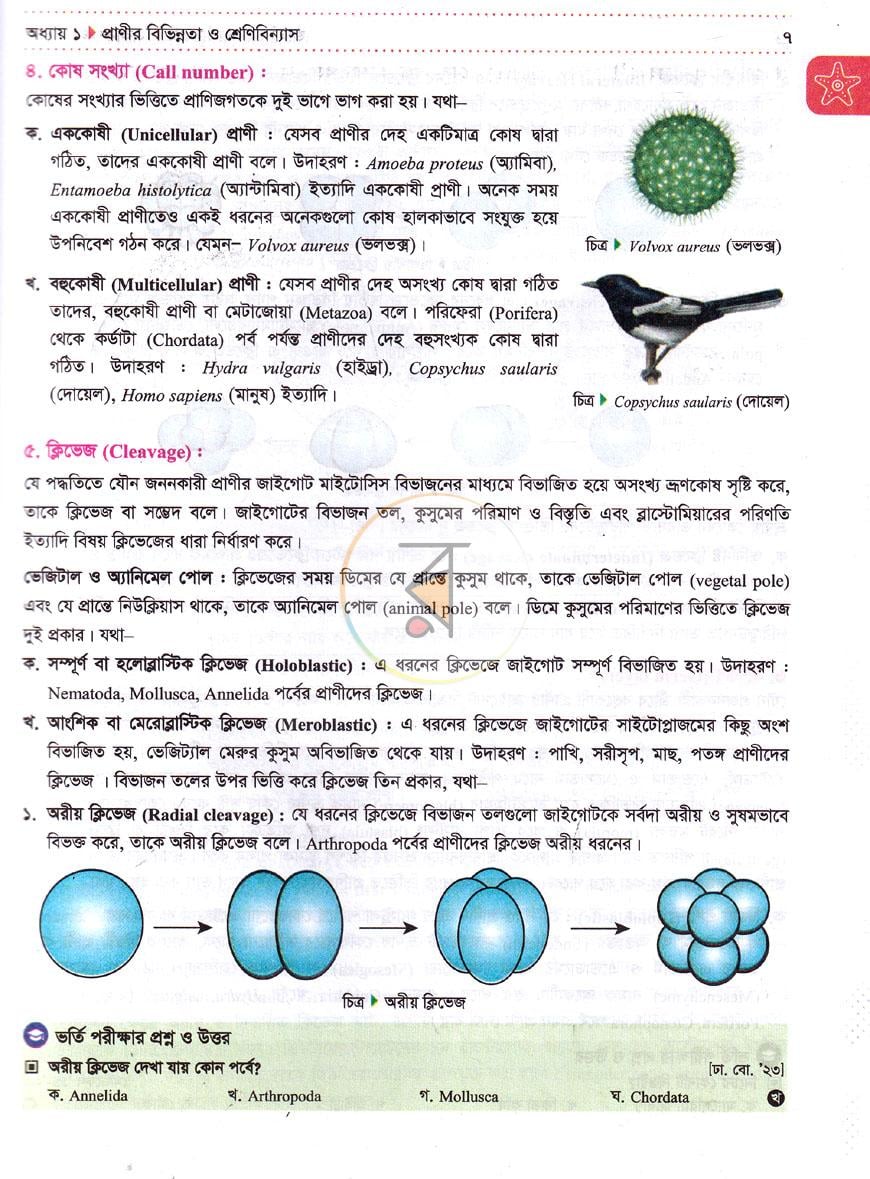 পাতা 9