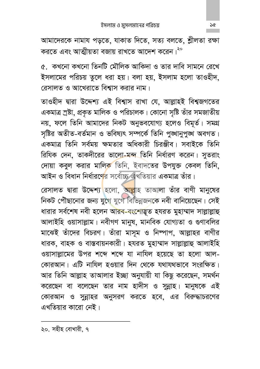 পাতা 11