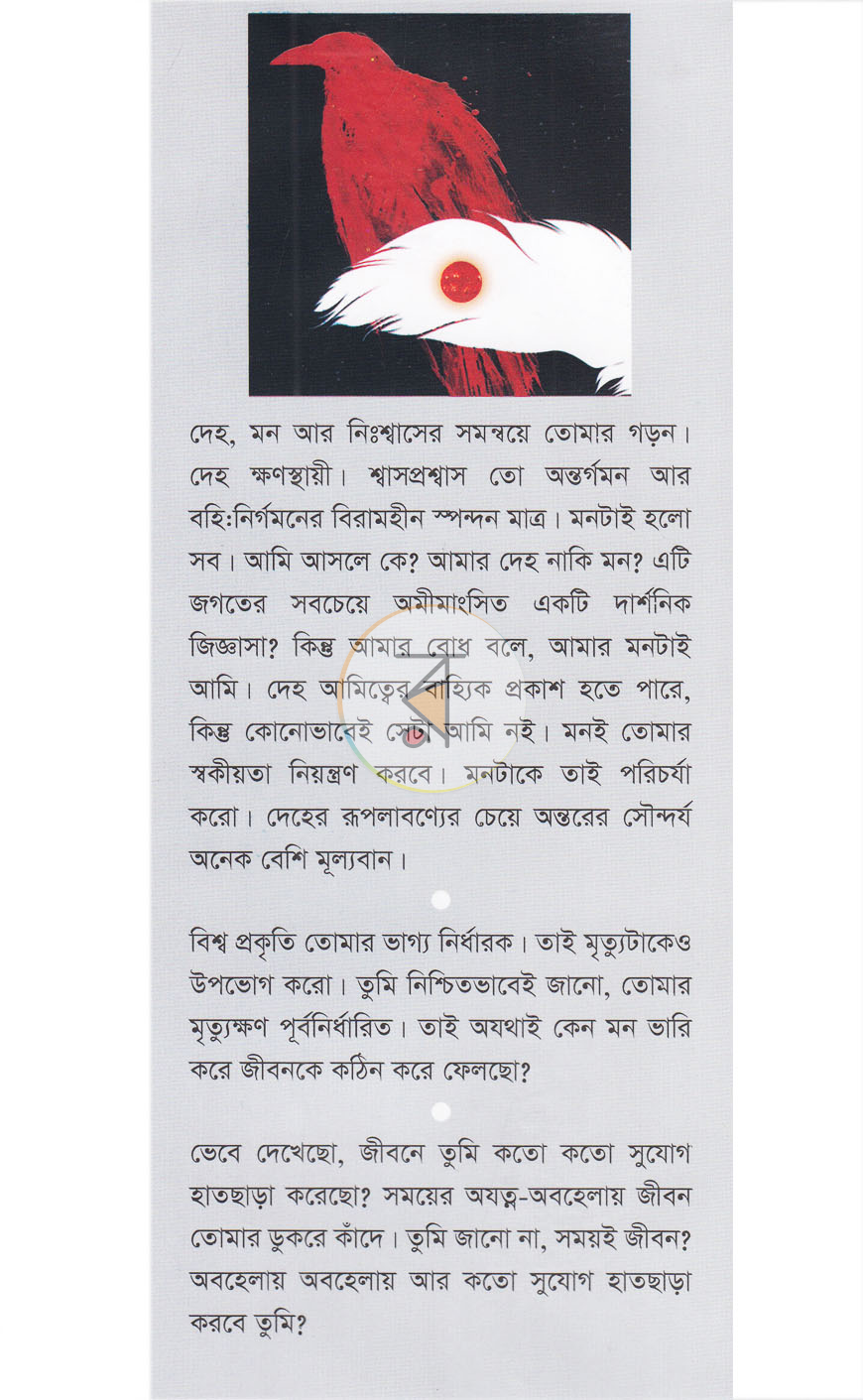 পাতা 12