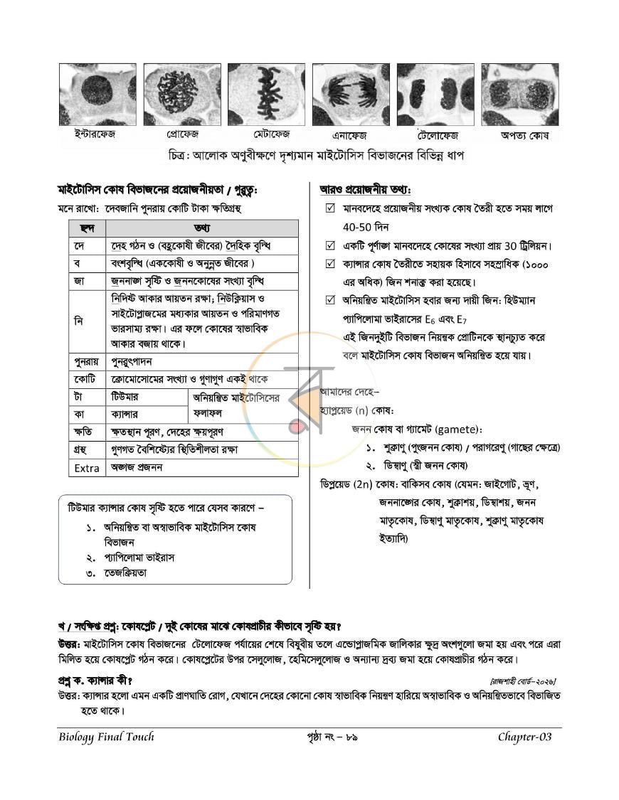 পাতা 12