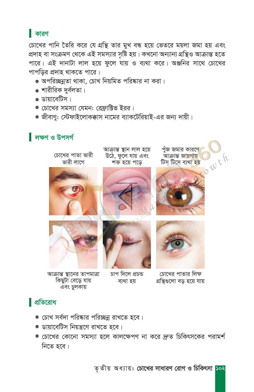 পাতা 20
