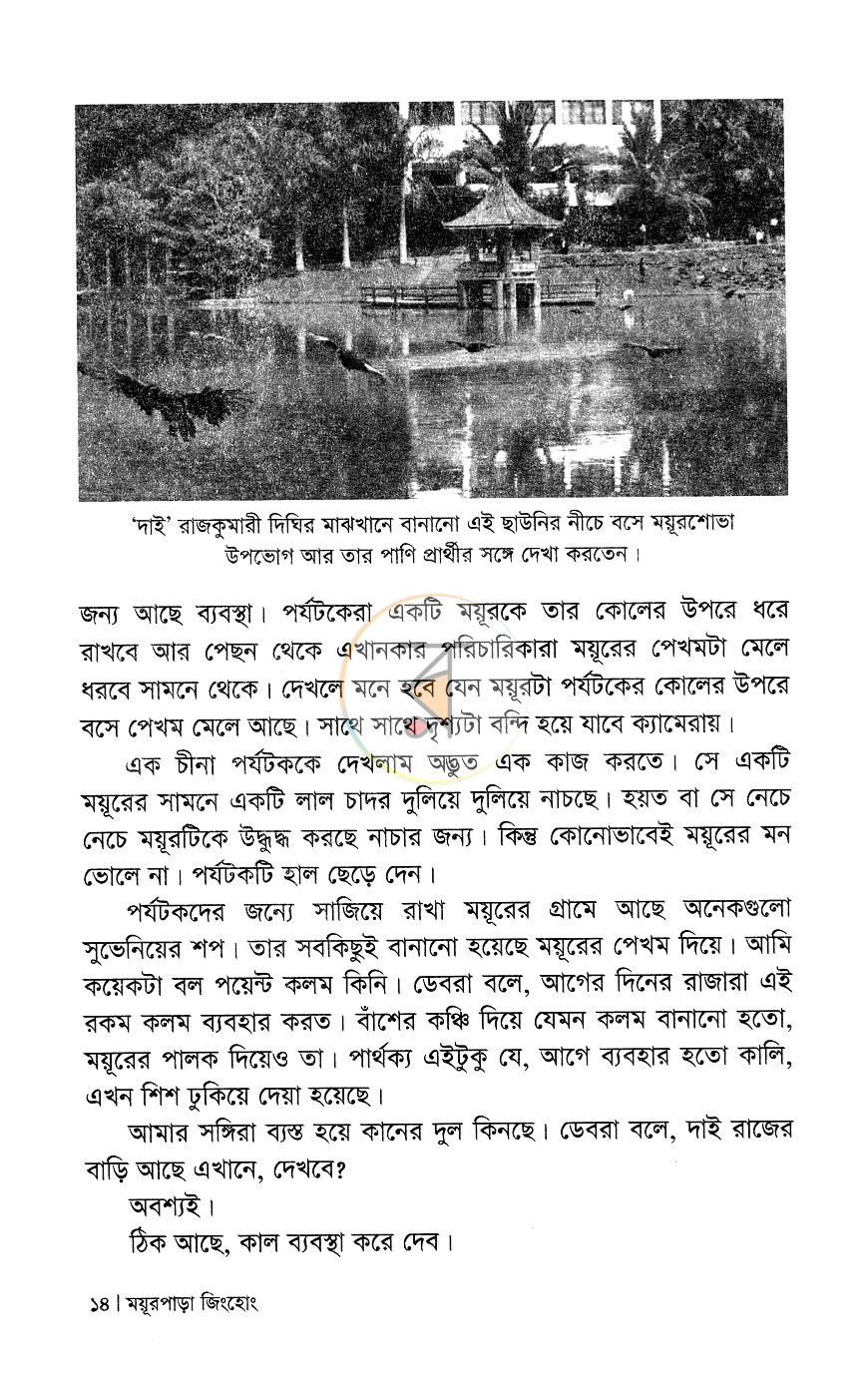 পাতা 10