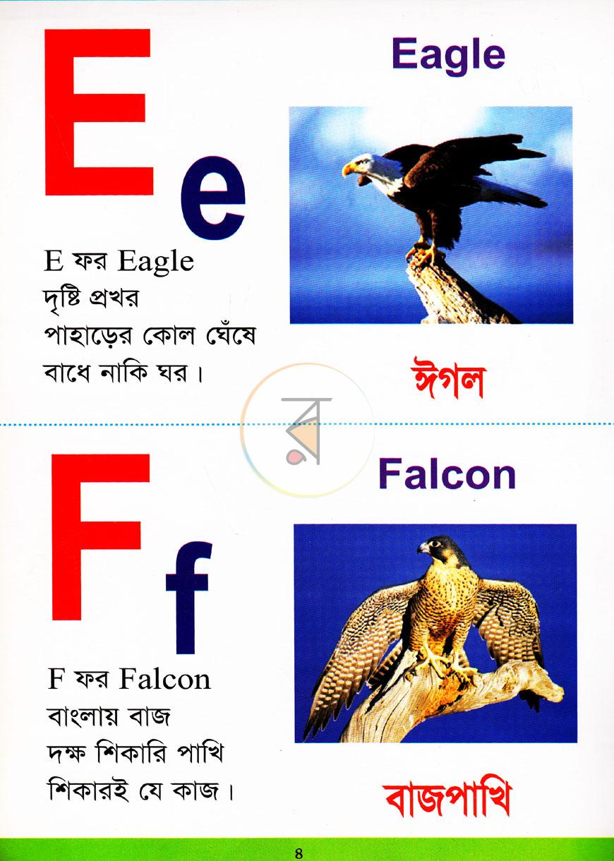 পাতা 3