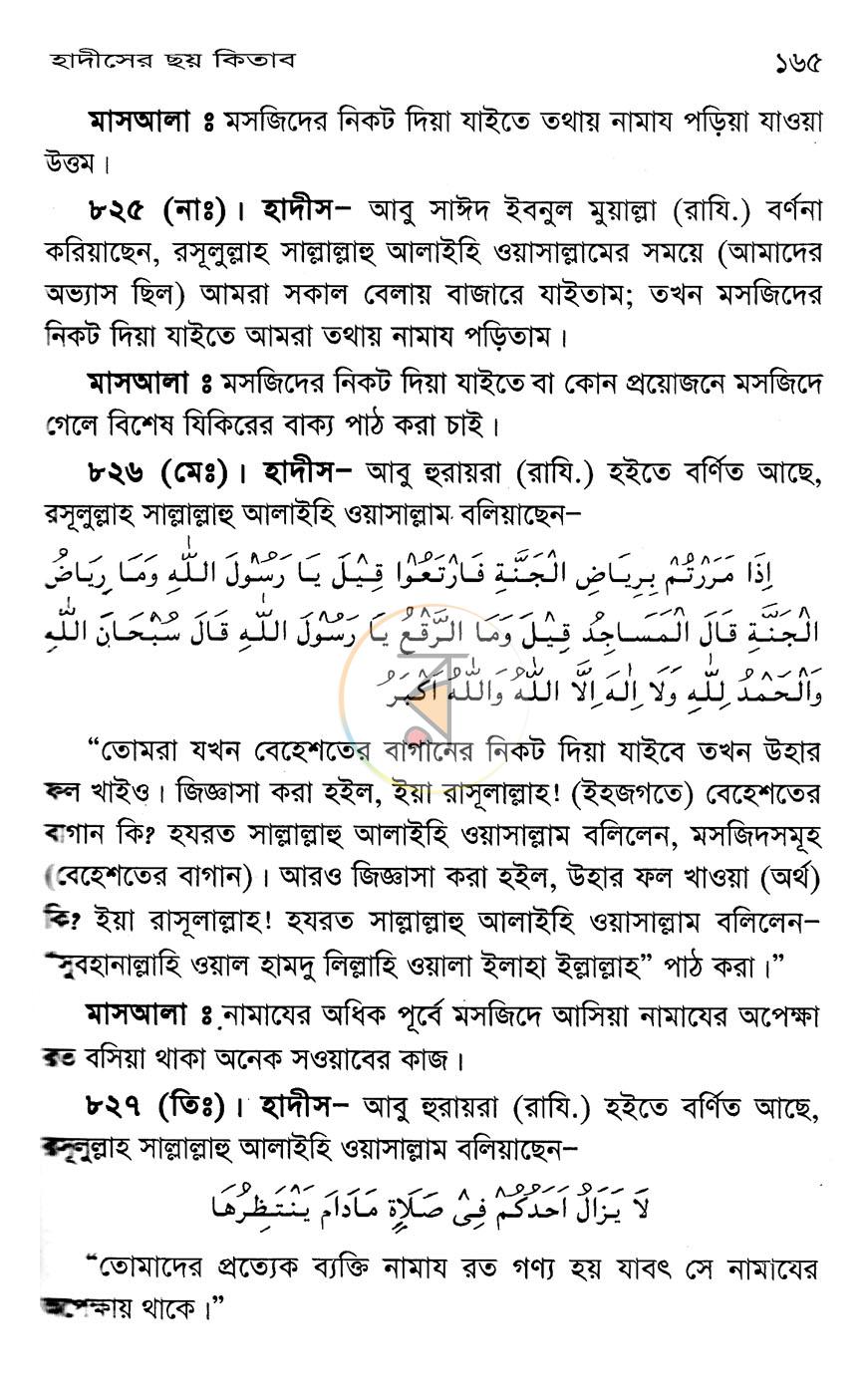 পাতা 7