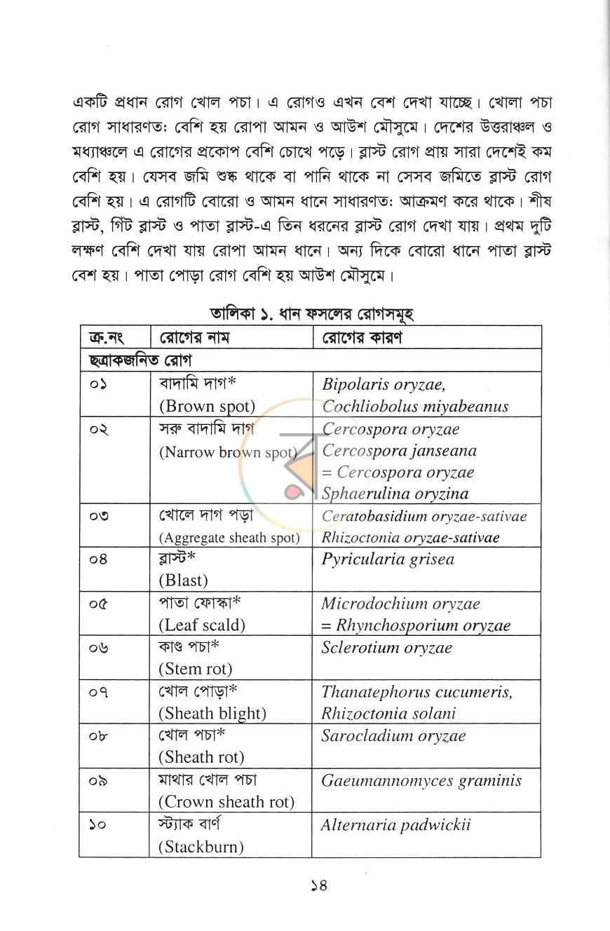 পাতা 10