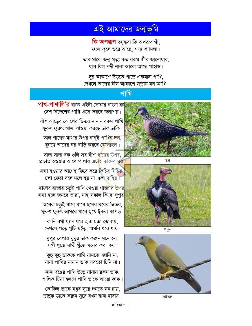 পাতা 1