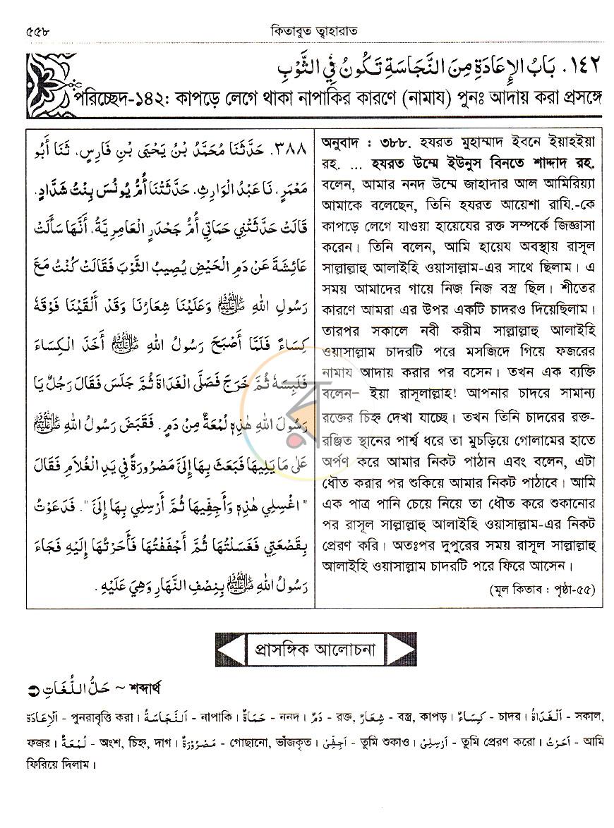 পাতা 24