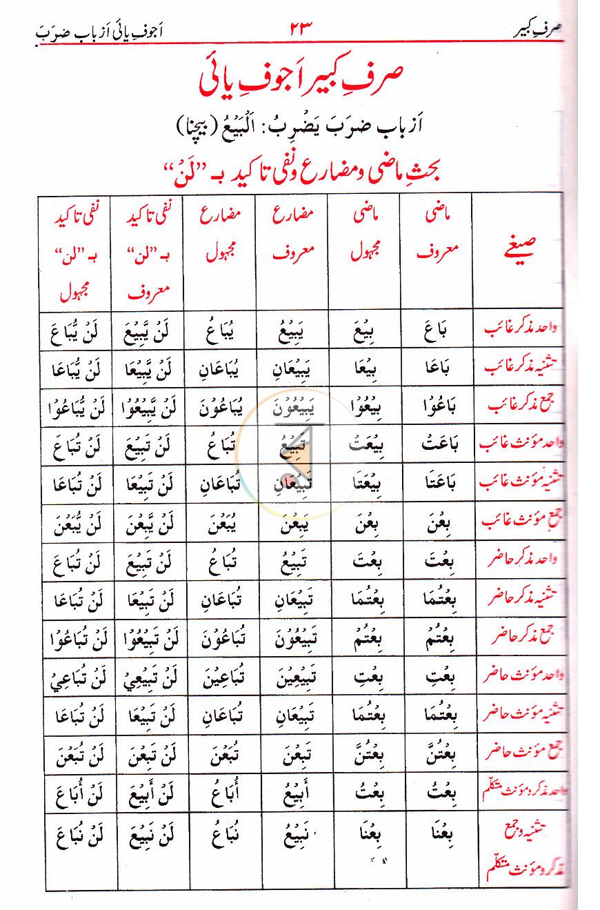 পাতা 16