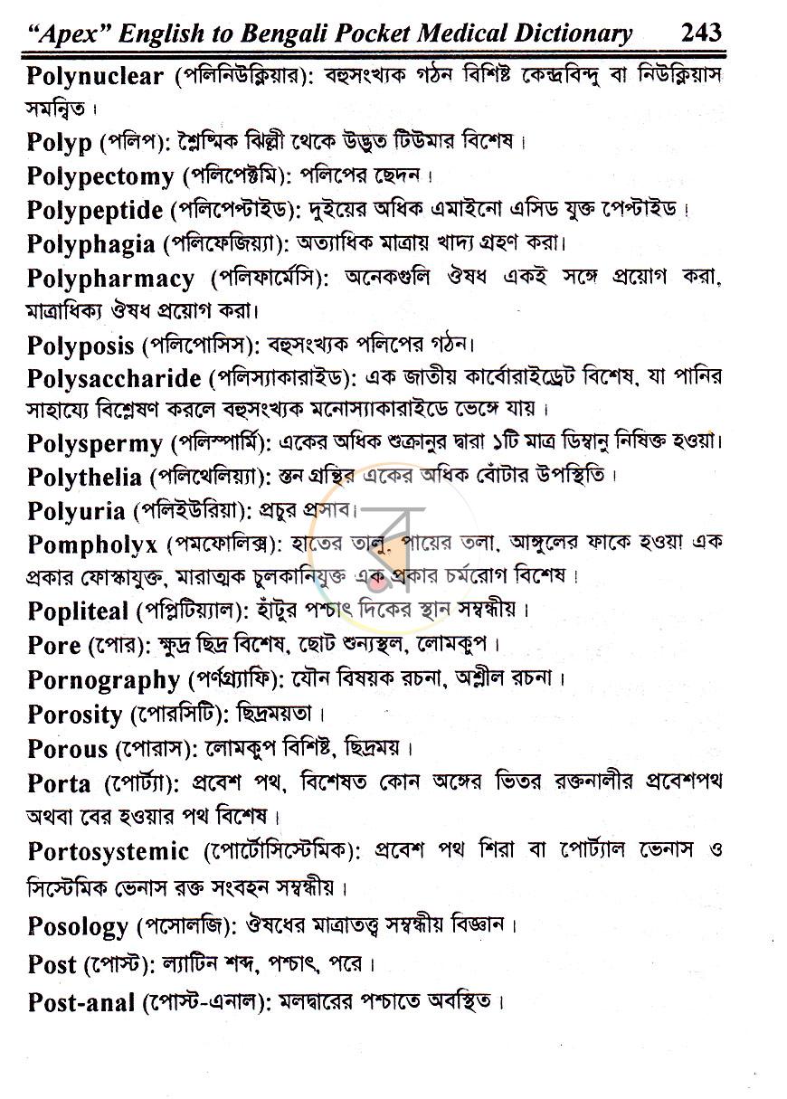 পাতা 17