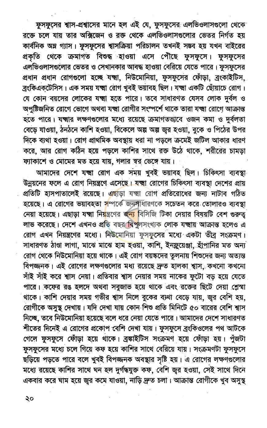 পাতা 13