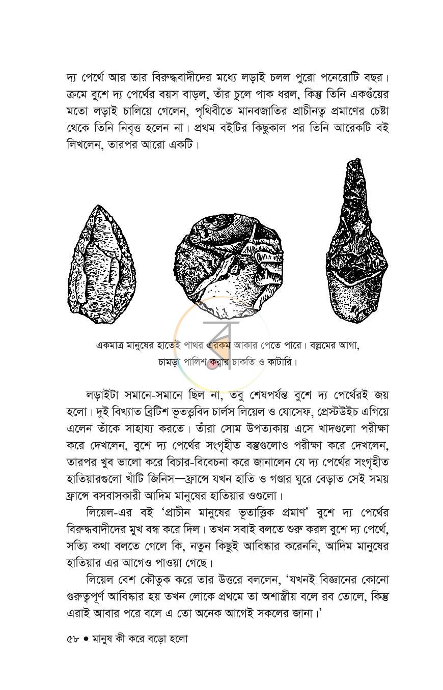 পাতা 24