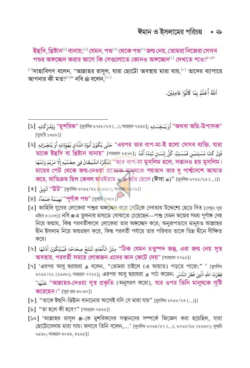 পাতা 24