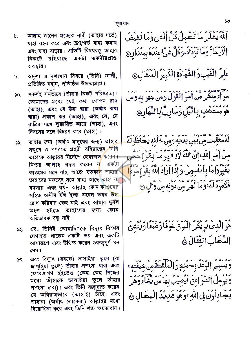 পাতা 7