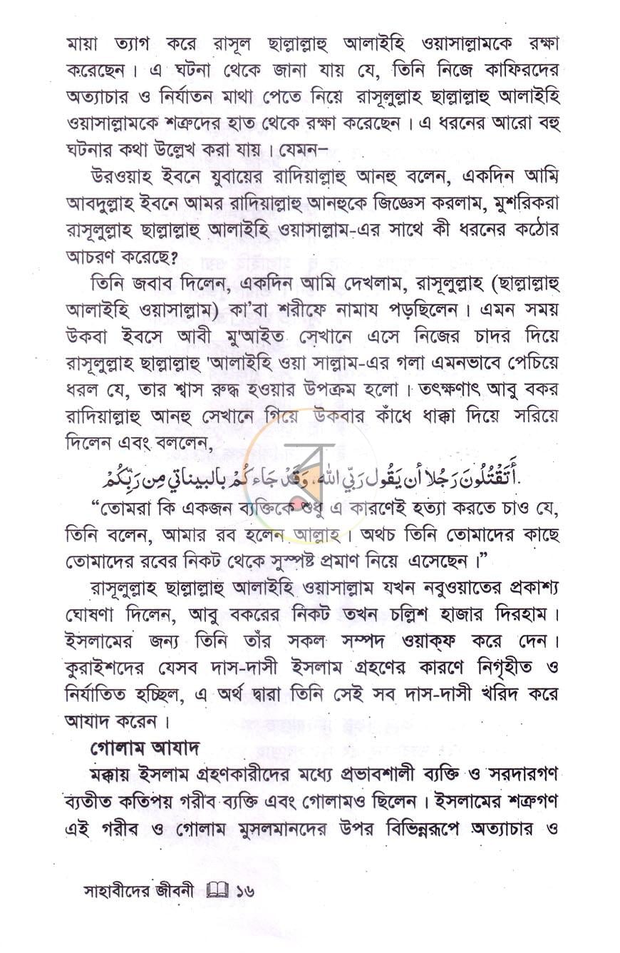 পাতা 11
