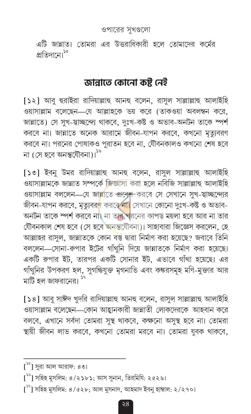 পাতা 13