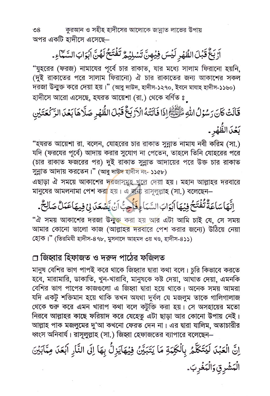 পাতা 8