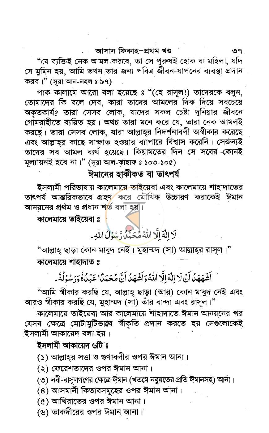 পাতা 13