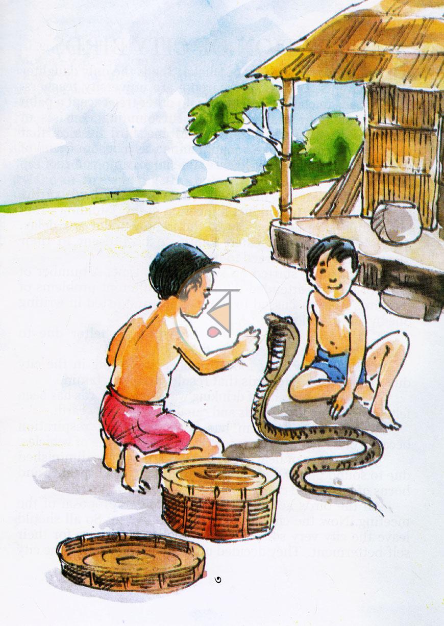 পাতা 3