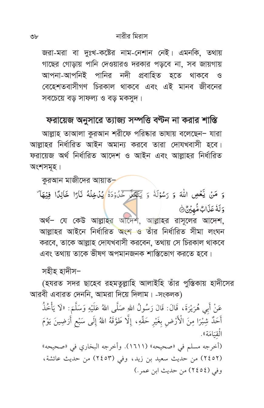 পাতা 13