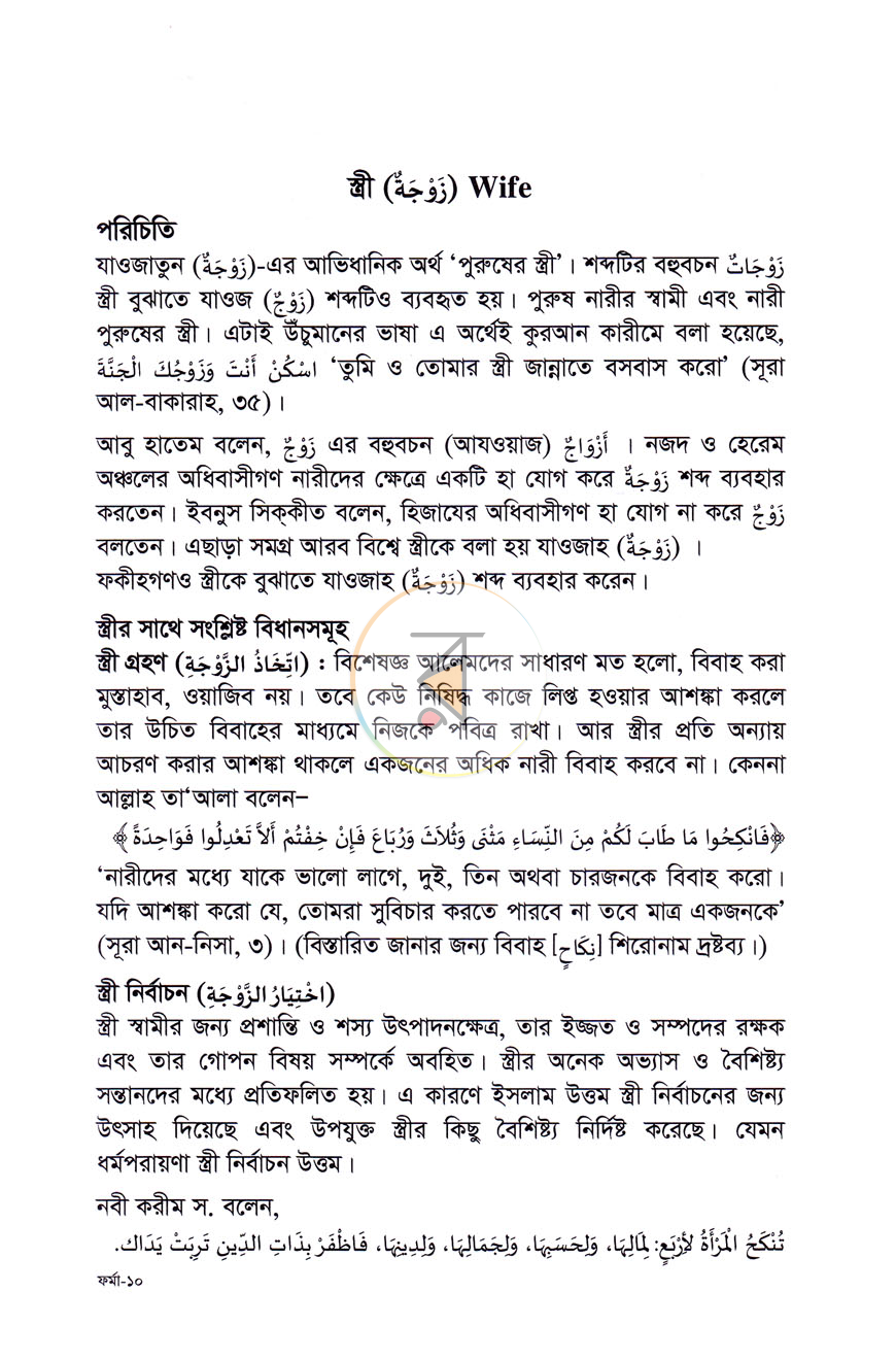 পাতা 11