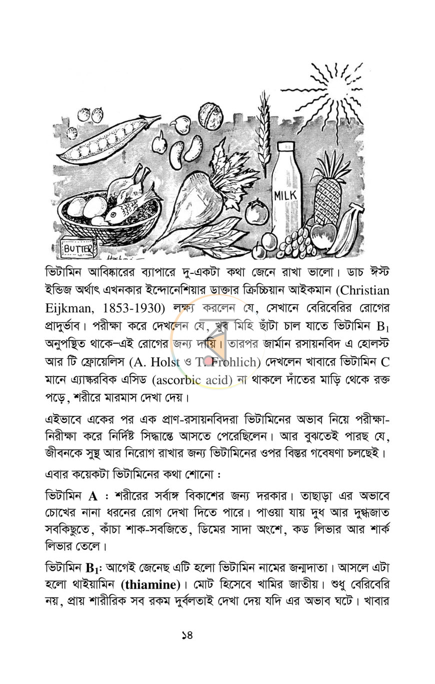 পাতা 9
