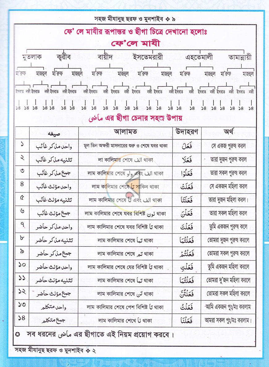 পাতা 8