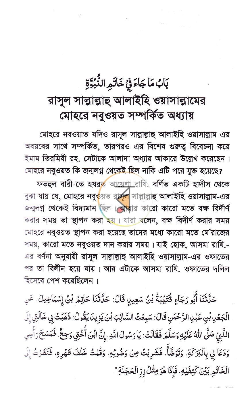 পাতা 13
