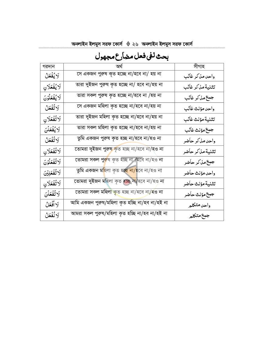 পাতা 25